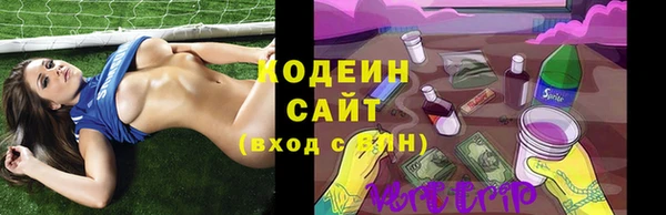 тгк Лагань