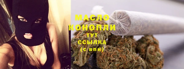 тгк Лагань