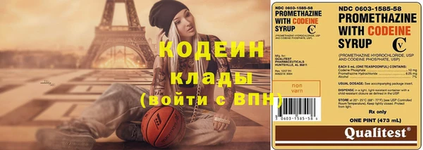 гашик Липки