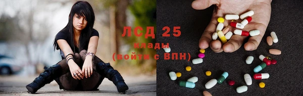 гашик Липки