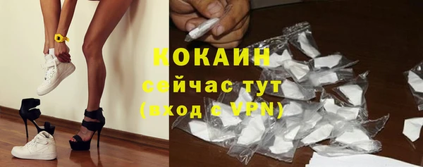 тгк Лагань