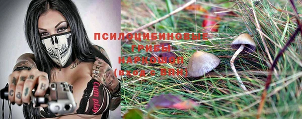 ГАЛЛЮЦИНОГЕННЫЕ ГРИБЫ Лихославль