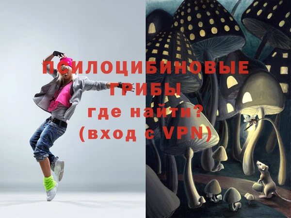 гашик Липки