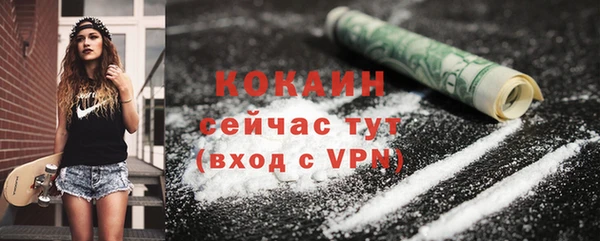 тгк Лагань