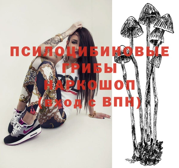тгк Лагань