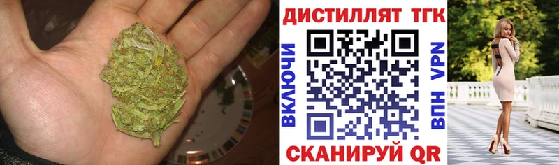ТГК концентрат  закладка  Павловская 