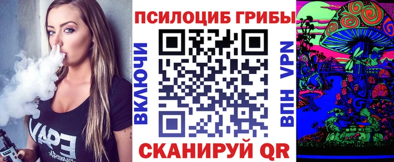 OMG рабочий сайт  Павловская  Галлюциногенные грибы Magic Shrooms  продажа наркотиков 